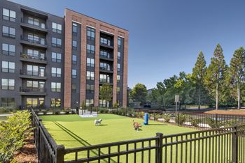 Community dog park & spa